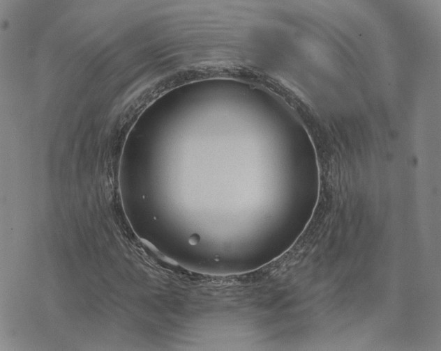 X0000076381015200610161109