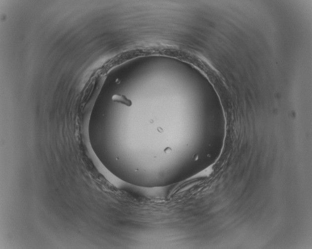 X0000076381016200610161109