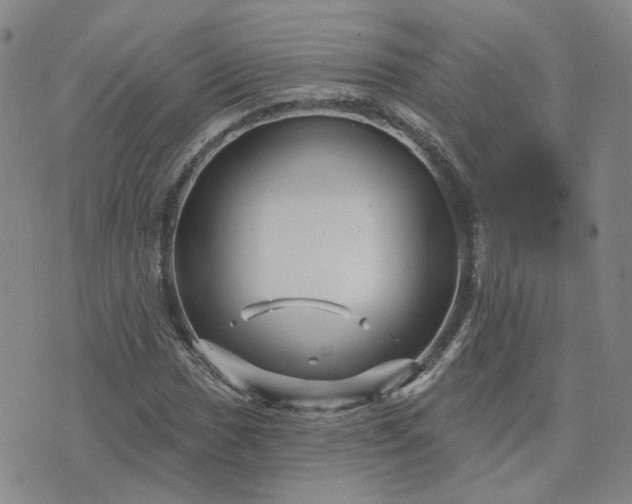 X0000076381017200610161109