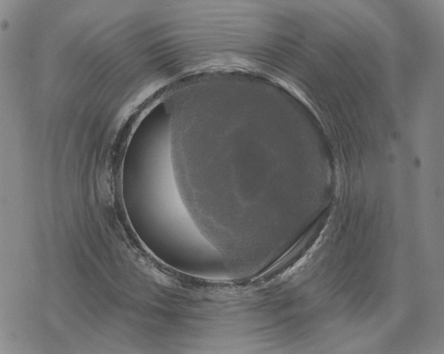 X0000076381018200610161109