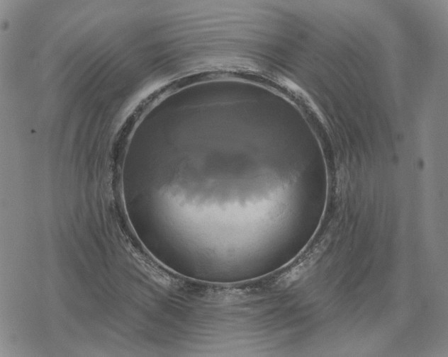 X0000076381019200610161109