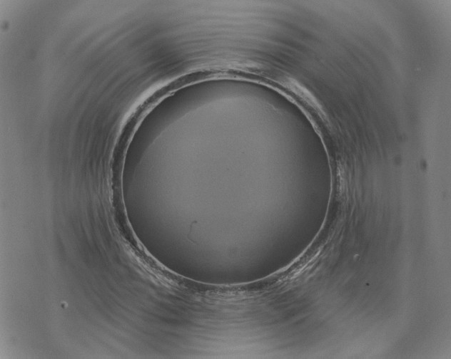 X0000076381020200610161109