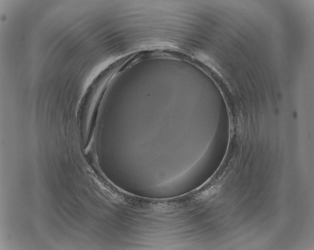 X0000076381022200610161109