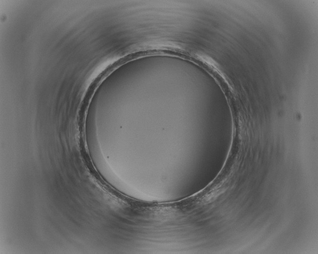 X0000076381024200610161109