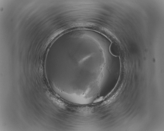 X0000076381025200610161109