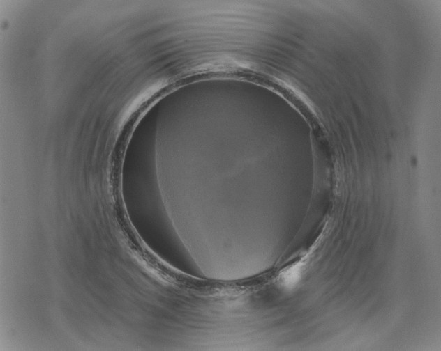 X0000076381026200610161110