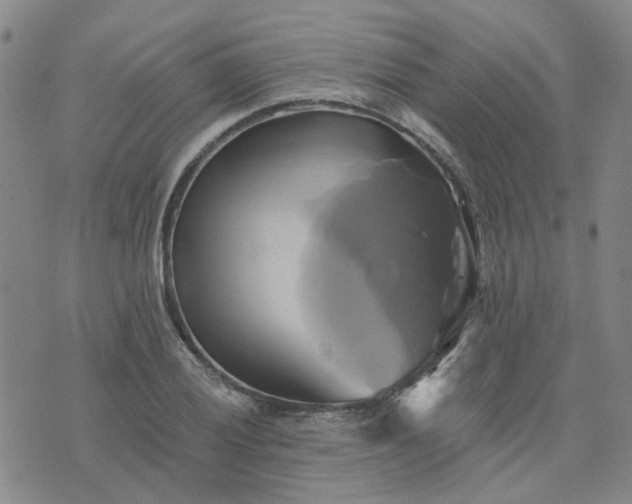 X0000076381028200610161110