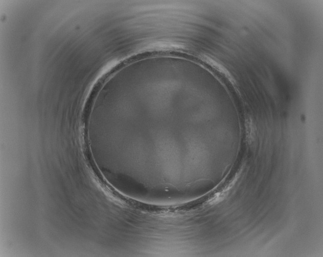 X0000076381029200610161110