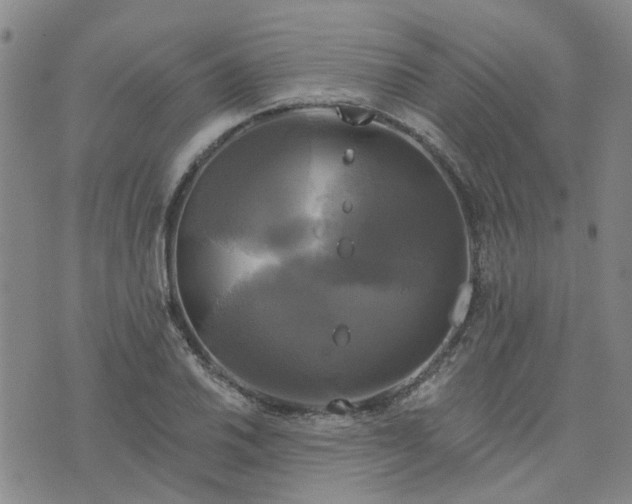 X0000076381030200610161110