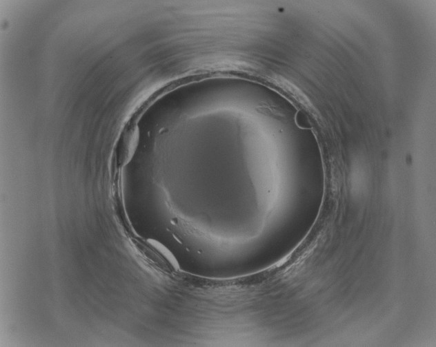 X0000076381031200610161110