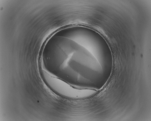 X0000076381032200610161110