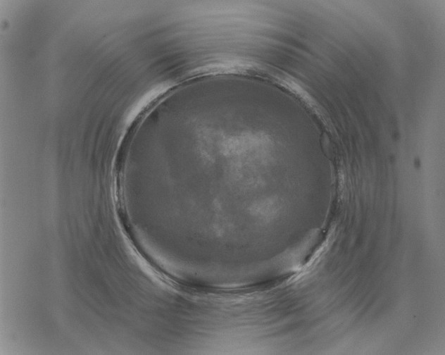 X0000076381034200610161110