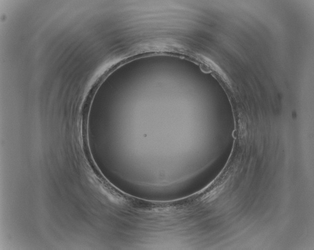 X0000076381035200610161110