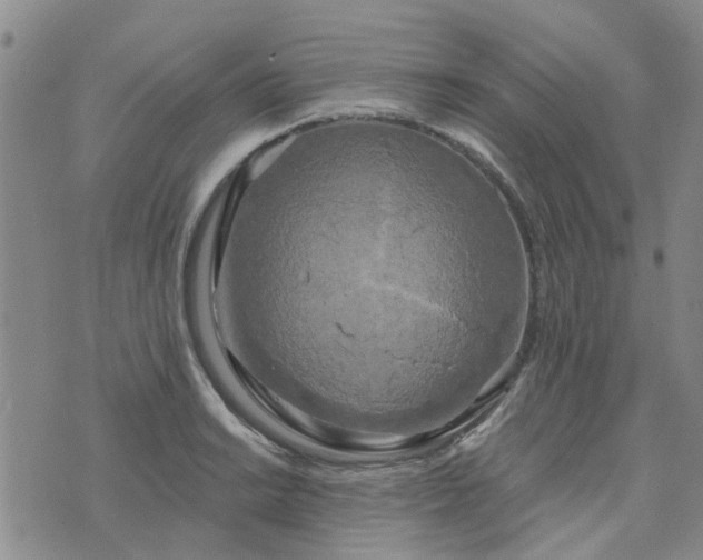 X0000076381038200610161110