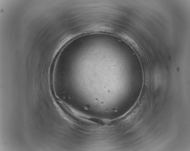 X0000076381039200610161110