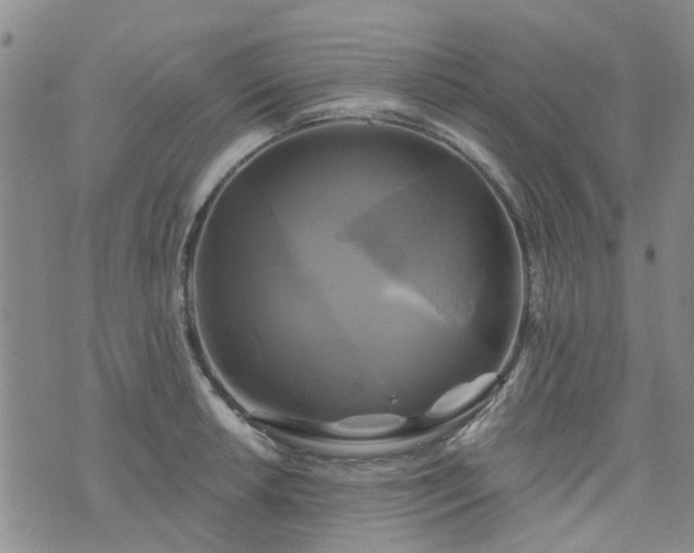 X0000076381042200610161110