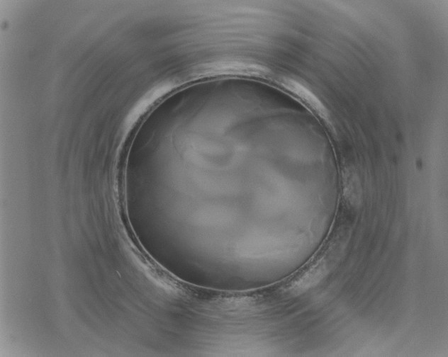 X0000076381043200610161110