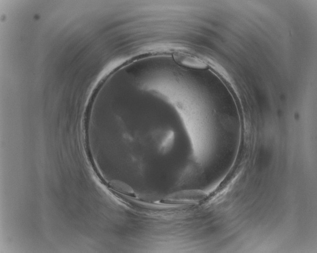 X0000076381045200610161110