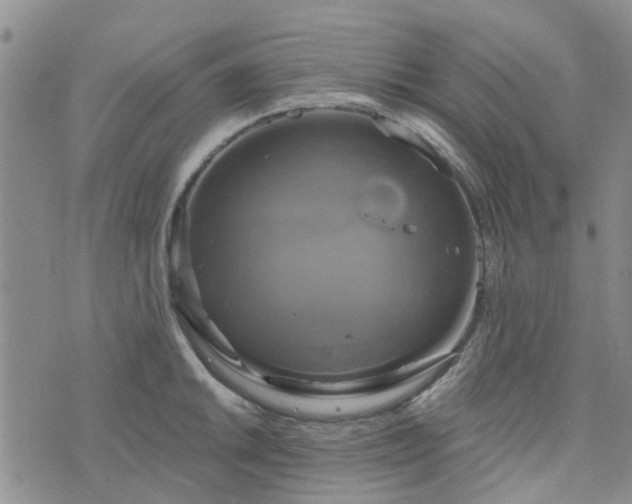 X0000076381046200610161110