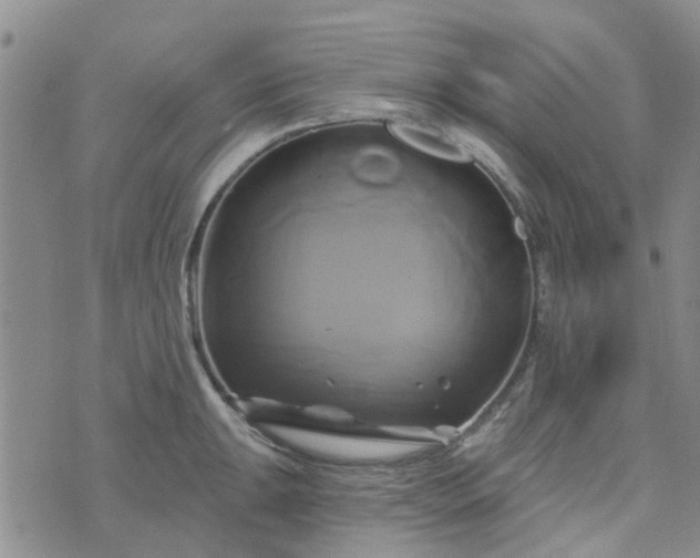 X0000076381047200610161110