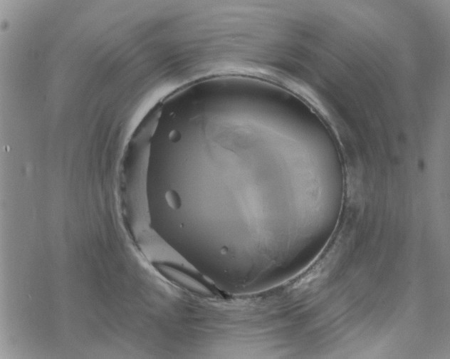 X0000076381048200610161110