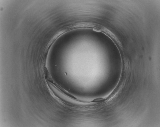 X0000076381049200610161110