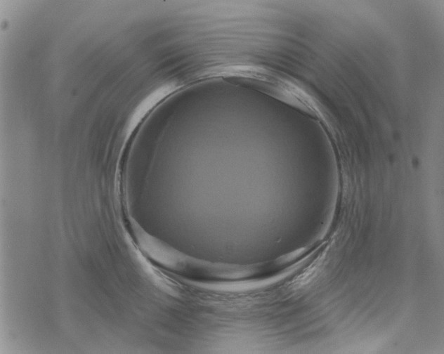 X0000076381050200610161110