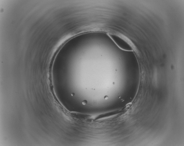 X0000076381051200610161110