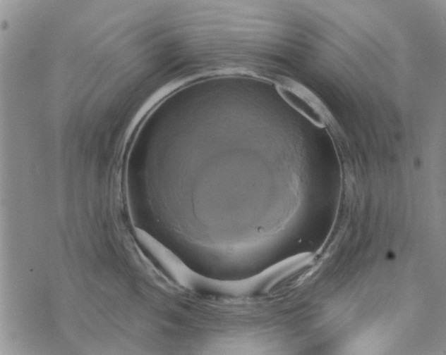 X0000076381052200610161110