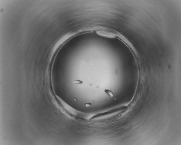 X0000076381053200610161110