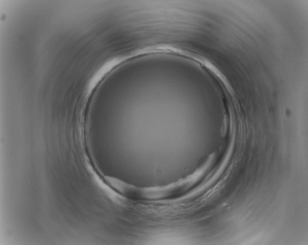 X0000076381054200610161110