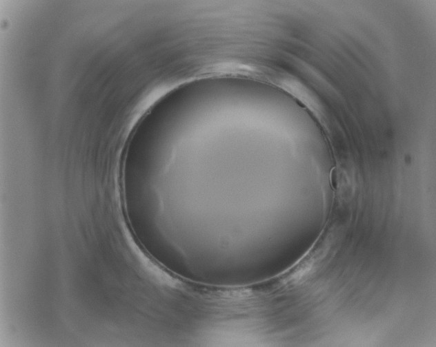 X0000076381055200610161110