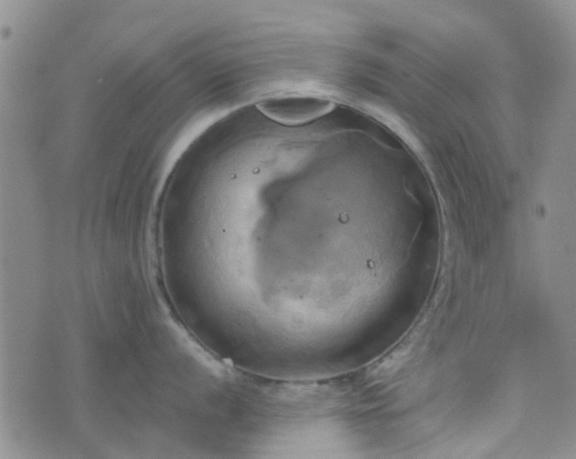 X0000076381056200610161110