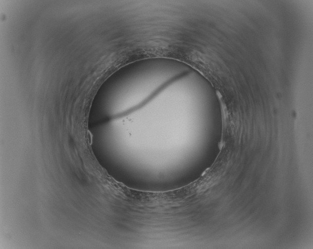 X0000076381057200610161109