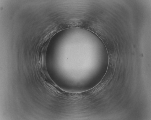 X0000076381058200610161109