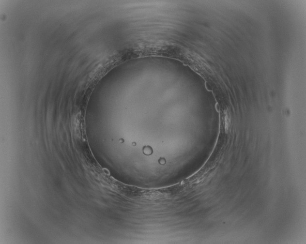 X0000076381059200610161109