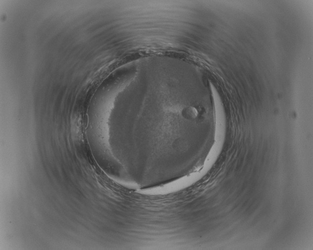 X0000076381060200610161109