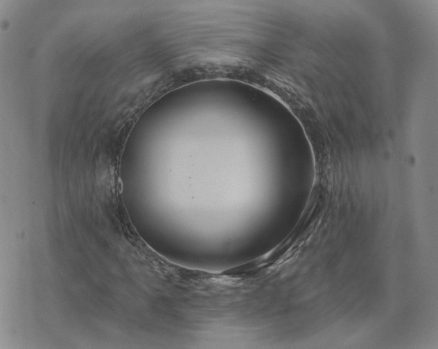 X0000076381061200610161109