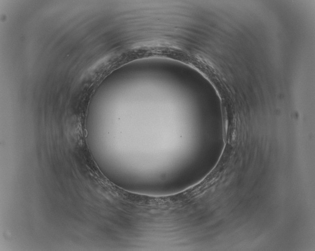 X0000076381062200610161109