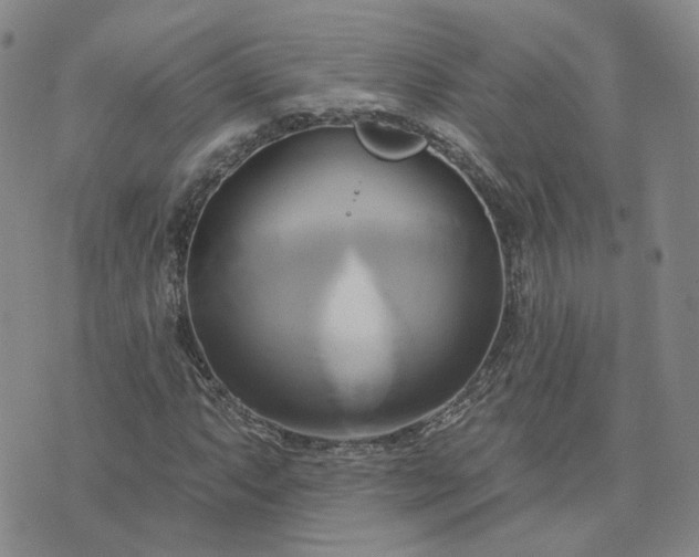 X0000076381063200610161109