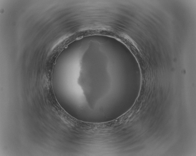 X0000076381064200610161109