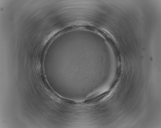 X0000076381065200610161109