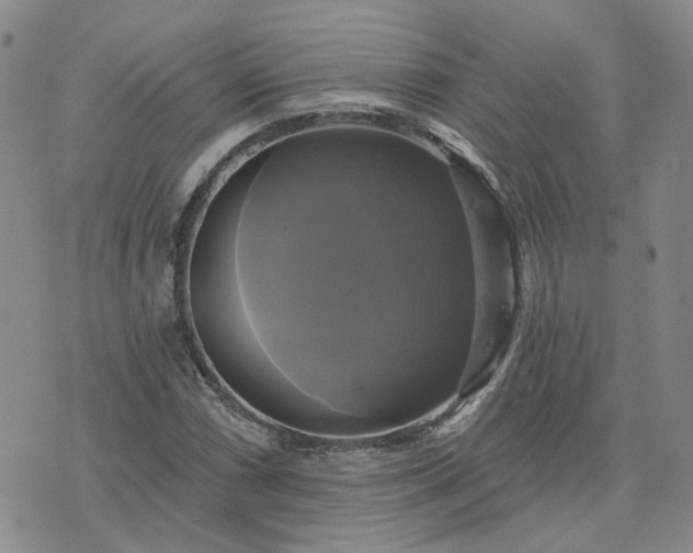 X0000076381066200610161109