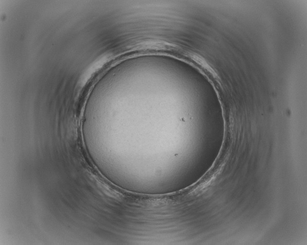 X0000076381067200610161109