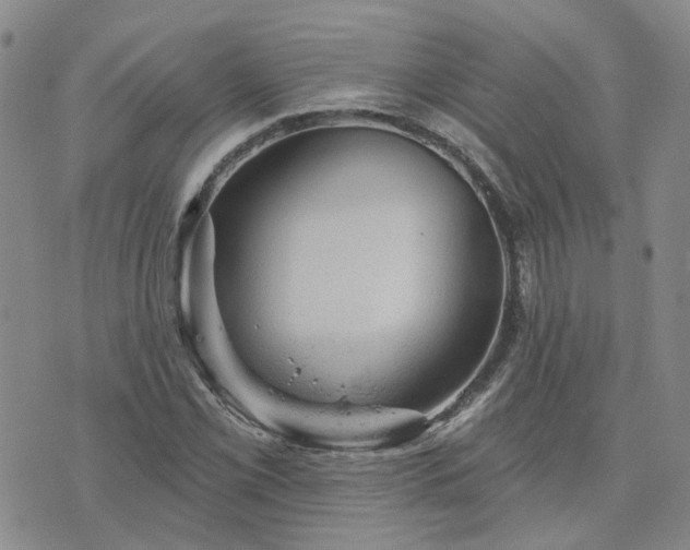 X0000076381069200610161109