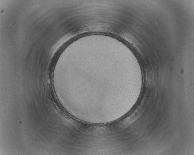 X0000076381070200610161109