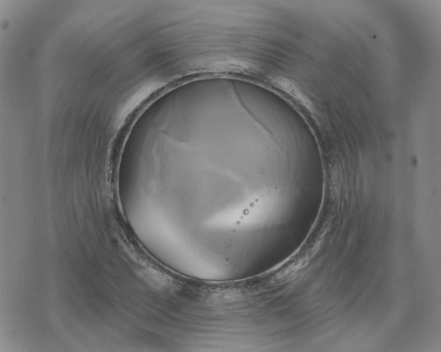 X0000076381071200610161109