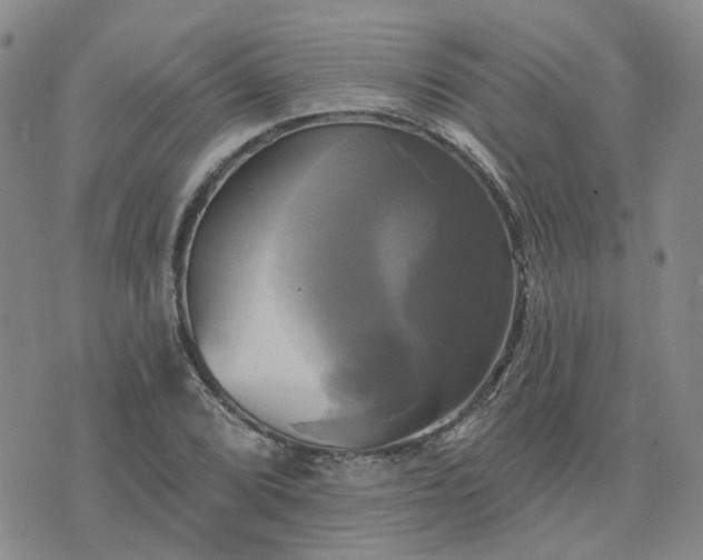 X0000076381072200610161109