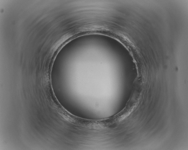 X0000076381073200610161109