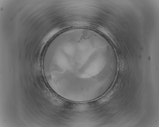 X0000076381074200610161109